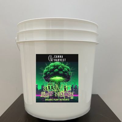 Tubos de polipropileno personalizados 3L 4L 5L 8L 10L Container Balde de plástico com tampa