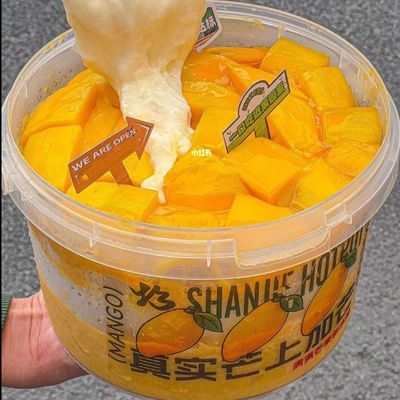 Container de plástico transparente com tampa à prova de adulteração